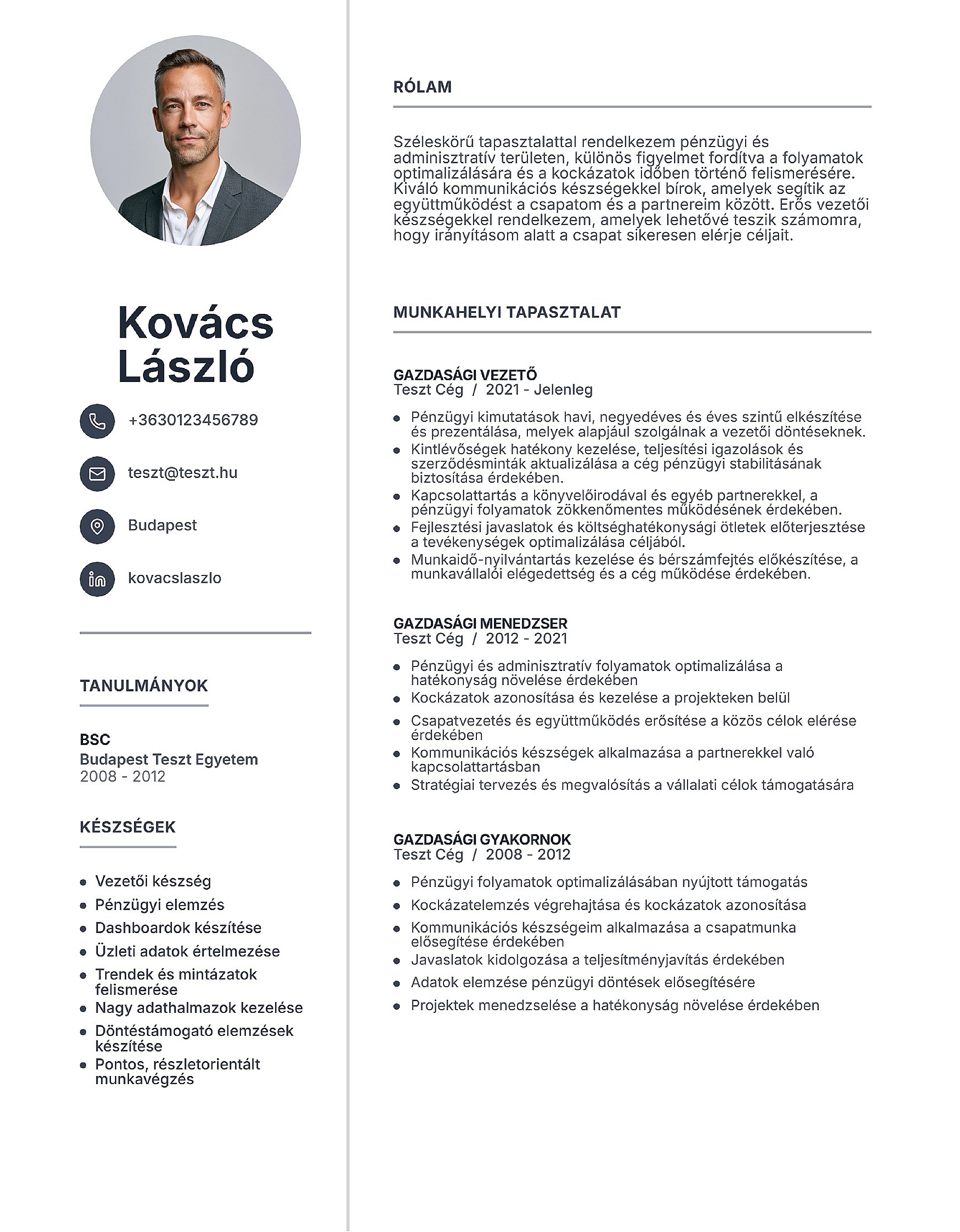 Professzionális